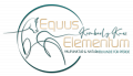Equus Elementum