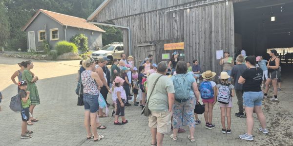 Bericht zum Kids Day auf der Little Valley Ranch
