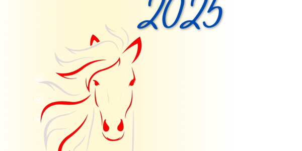 Sponsorenvorstellung 2025: Christine Hummel Westernriding