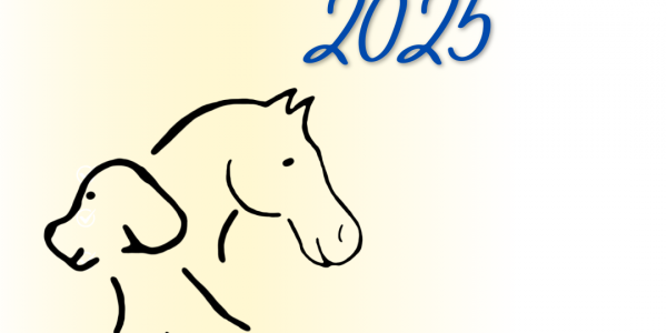 Sponsorenvorstellung 2025: PHV Store