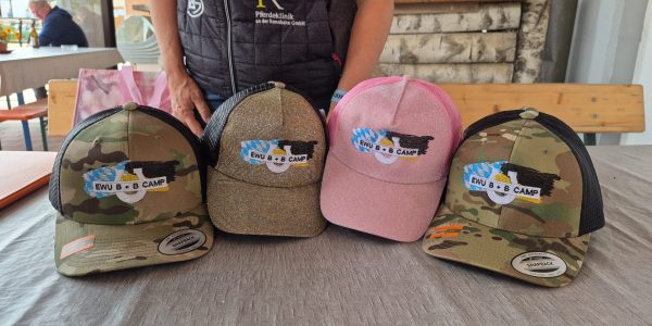 Bericht zum B+B Camp 2025