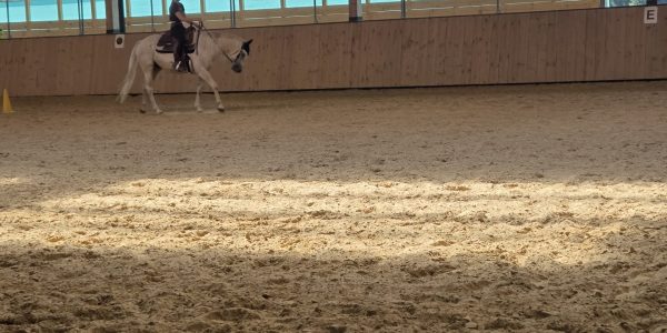 Erstes Jugendkadertraining 2026